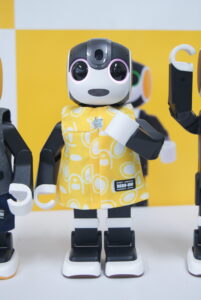 SONY DSC